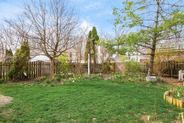 view of yard with a fenced backyard