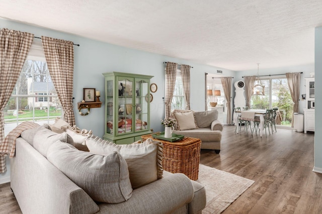 living area featuring a textured ceiling and wood finished floors