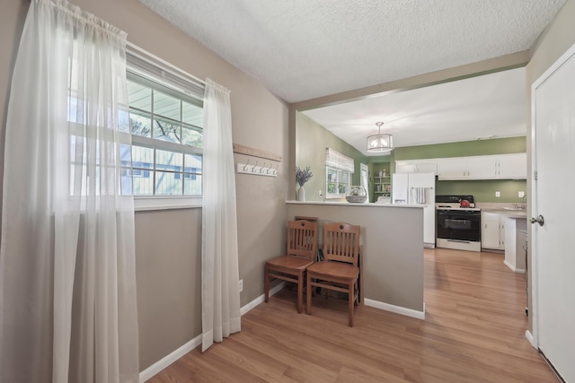 living area featuring baseboards, a textured ceiling, and light wood-style flooring