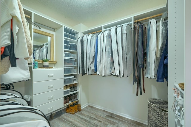 walk in closet featuring wood finish floors
