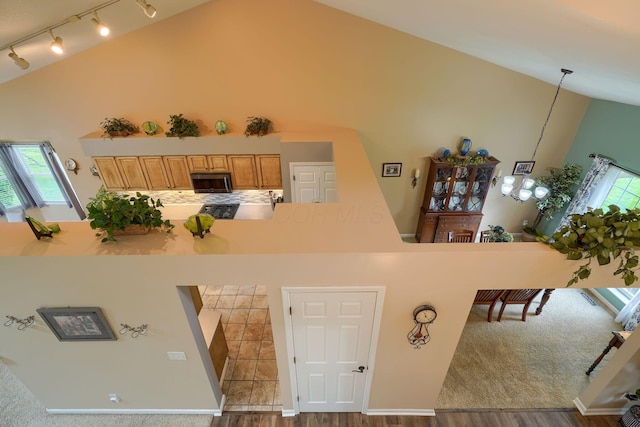 kitchen featuring stainless steel microwave, a wealth of natural light, and high vaulted ceiling