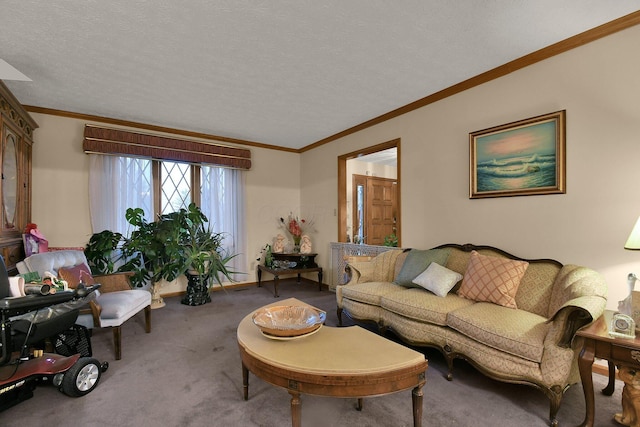 2520 Mccutcheon Rd, Columbus, OH 43219 - living area with crown molding and carpet