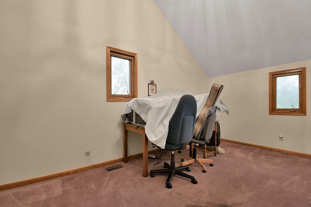 2520 Mccutcheon Rd, Columbus, OH 43219 - carpeted office space with baseboards and lofted ceiling