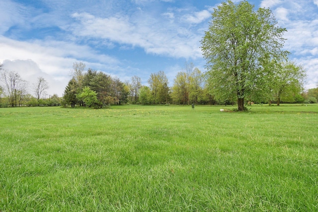 2520 Mccutcheon Rd, Columbus, OH 43219 - view of yard with a rural view