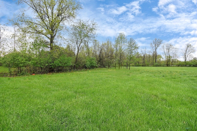 2520 Mccutcheon Rd, Columbus, OH 43219 - view of yard