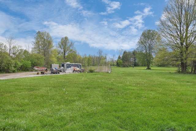 2520 Mccutcheon Rd, Columbus, OH 43219 - view of yard