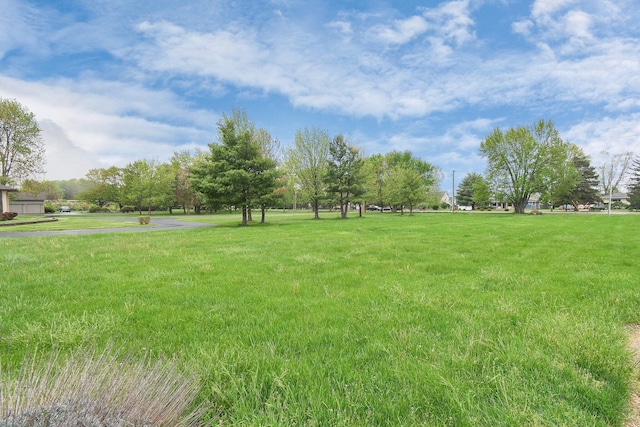 2520 Mccutcheon Rd, Columbus, OH 43219 - view of yard