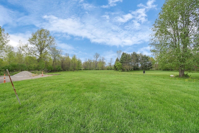 2520 Mccutcheon Rd, Columbus, OH 43219 - view of yard