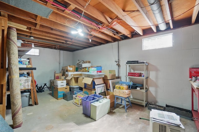 105 Chapin Pl, Granville, OH 43023 - below grade area with plenty of natural light and concrete block wall