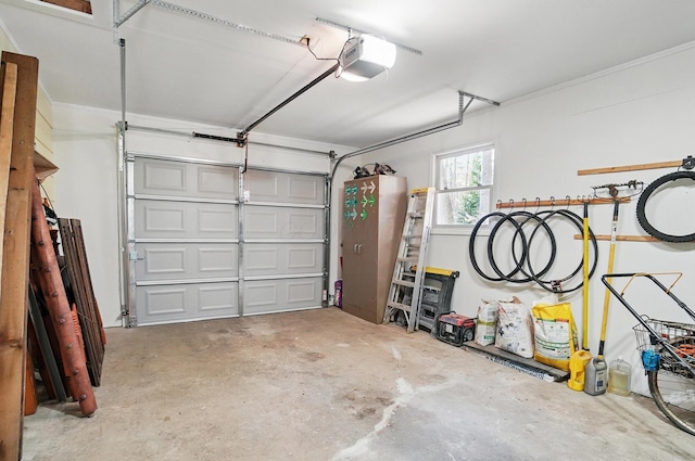 105 Chapin Pl, Granville, OH 43023 - garage featuring a garage door opener