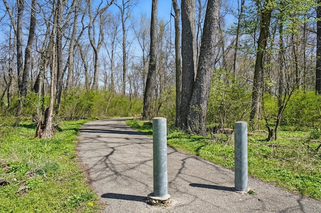 105 Chapin Pl, Granville, OH 43023 - view of road with a wooded view
