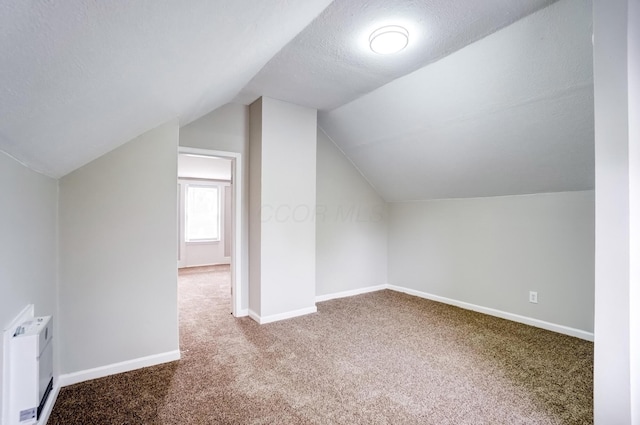 153 N High St, Mount Victory, OH 43340 - additional living space featuring baseboards, lofted ceiling, carpet flooring, and a textured ceiling