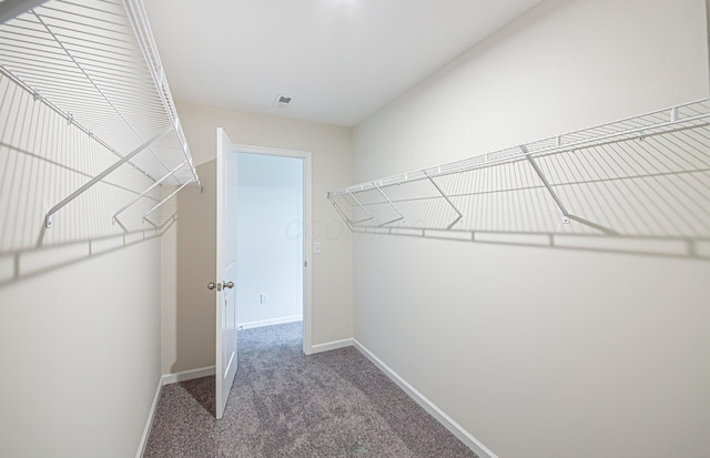 5537 Violet St Lot 367, South Bloomfield, OH 43103 - spacious closet with carpet