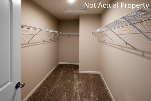 walk in closet featuring attic access and carpet