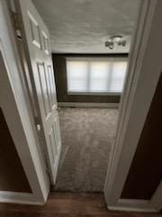 371 Hensel Ave, Springfield, OH 45505 - view of corridor