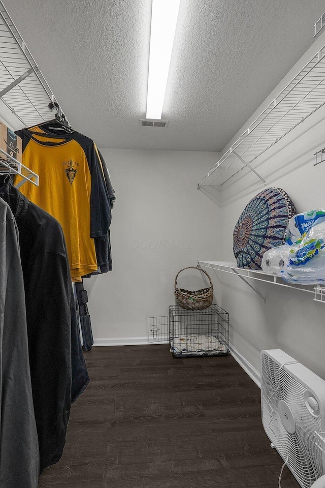 spacious closet featuring visible vents and wood finished floors