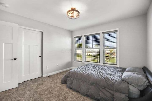 6003 Honey Farm Way, Grove City, OH 43123 - bedroom with baseboards, a closet, and carpet