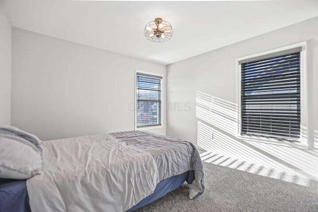 6003 Honey Farm Way, Grove City, OH 43123 - view of carpeted bedroom