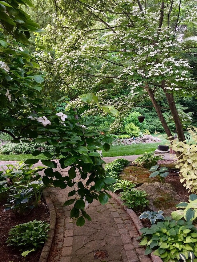 view of nature