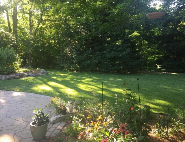 view of yard with a patio