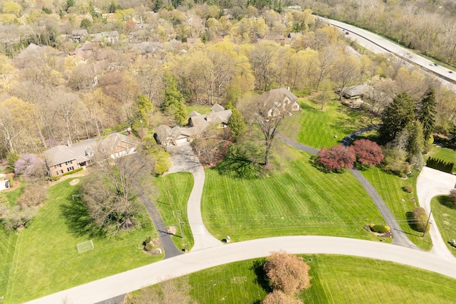 aerial view