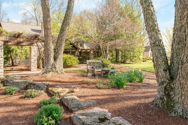 view of yard with a pergola