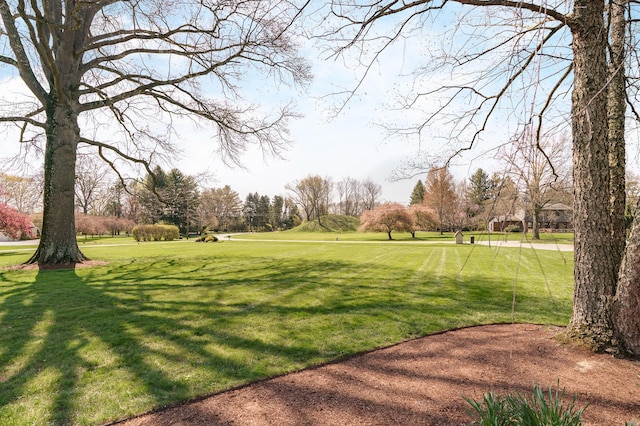 surrounding community with a lawn