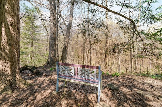 view of community featuring a forest view