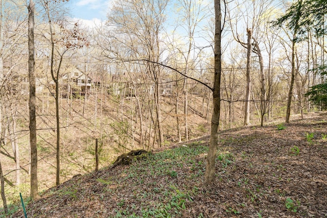 view of local wilderness