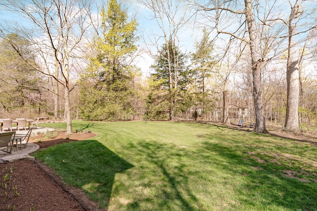 view of yard featuring a patio area