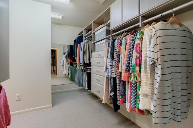 walk in closet featuring carpet