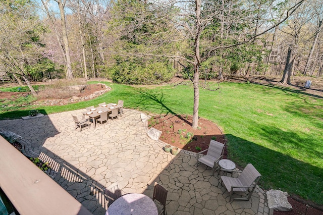 view of yard featuring a patio area