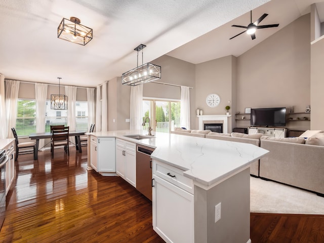 kitchen featuring stainless steel dishwasher, dark wood-style flooring, a tiled fireplace, a sink, and open floor plan