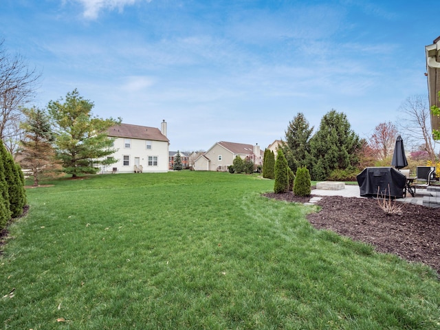 view of yard featuring a patio