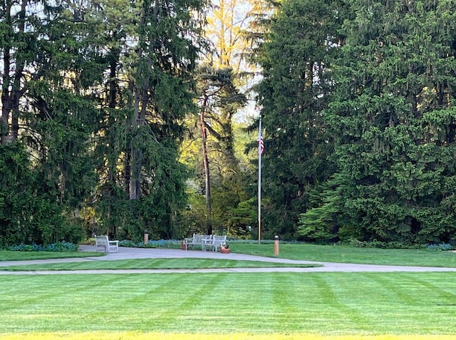 view of community with a lawn