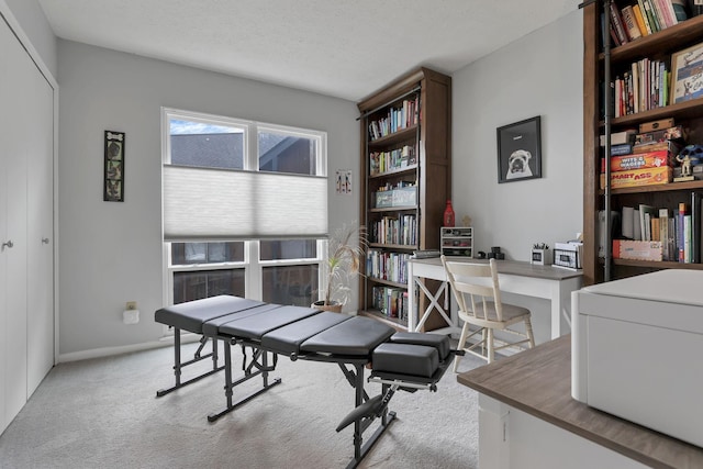 office with carpet flooring