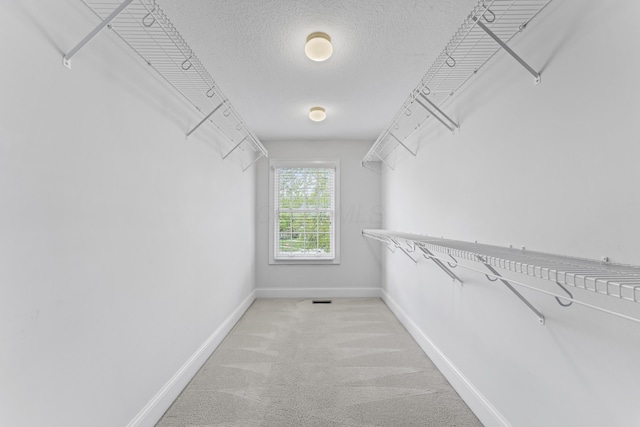 walk in closet with light carpet