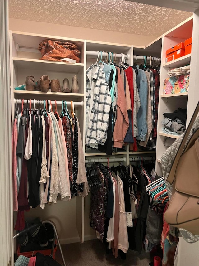 walk in closet with carpet floors