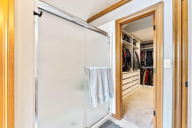 walk in closet with carpet