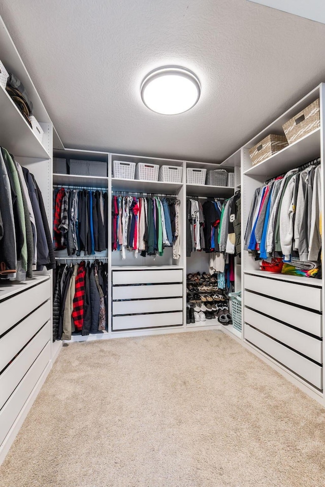 walk in closet featuring carpet