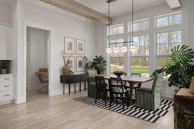 dining room with light wood finished floors, baseboards, and a wealth of natural light