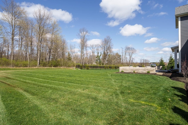 view of yard