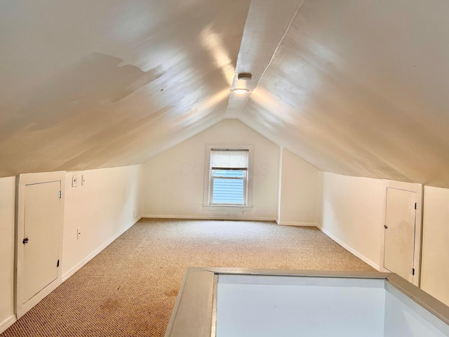 742 S Cassingham Rd, Bexley, OH 43209 - additional living space with carpet flooring and lofted ceiling