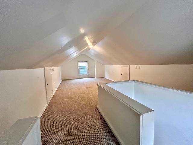742 S Cassingham Rd, Bexley, OH 43209 - bonus room with carpet floors and vaulted ceiling