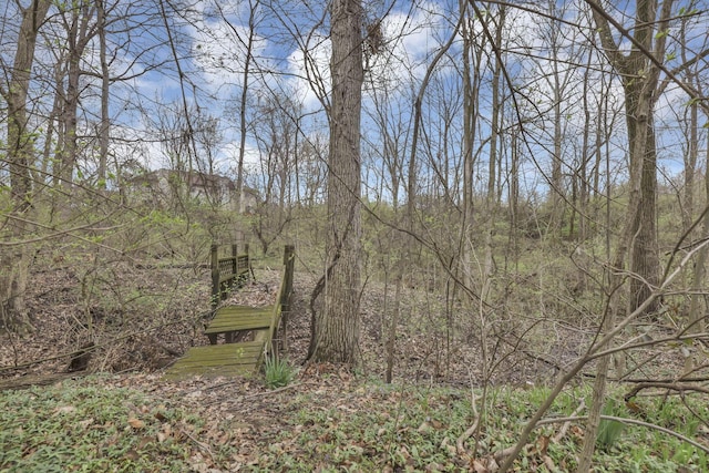 view of nature
