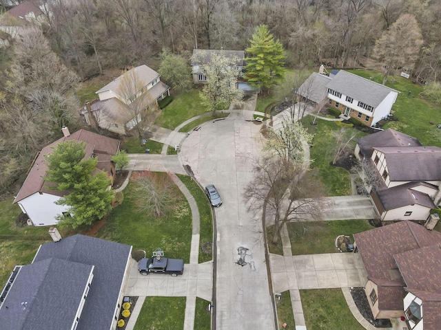 bird's eye view