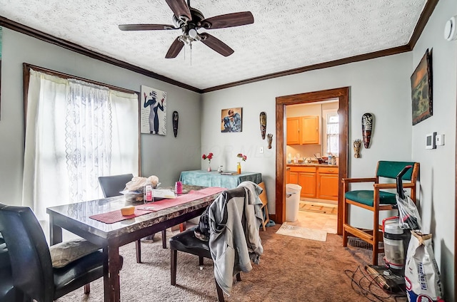 dining space with a ceiling fan, light carpet, ornamental molding, and a textured ceiling