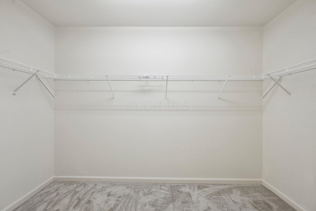 walk in closet featuring light carpet