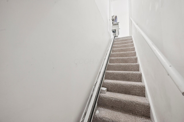 staircase with carpet flooring