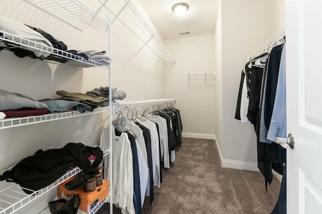 spacious closet with visible vents and carpet